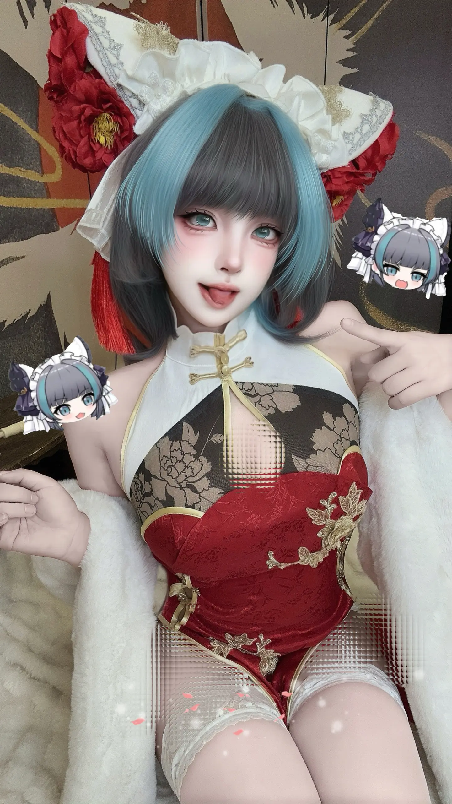 旗袍猫猫。