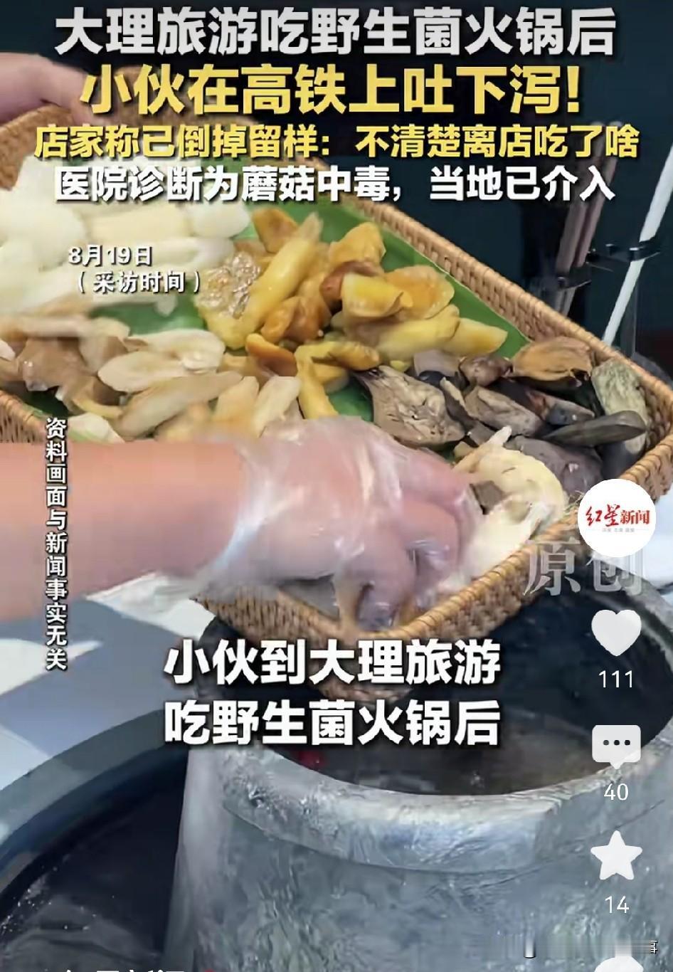 大理这起游客吃蘑菇中毒事件太闹心了。
8 月 16 号，游客在野菌王养生汤锅店吃