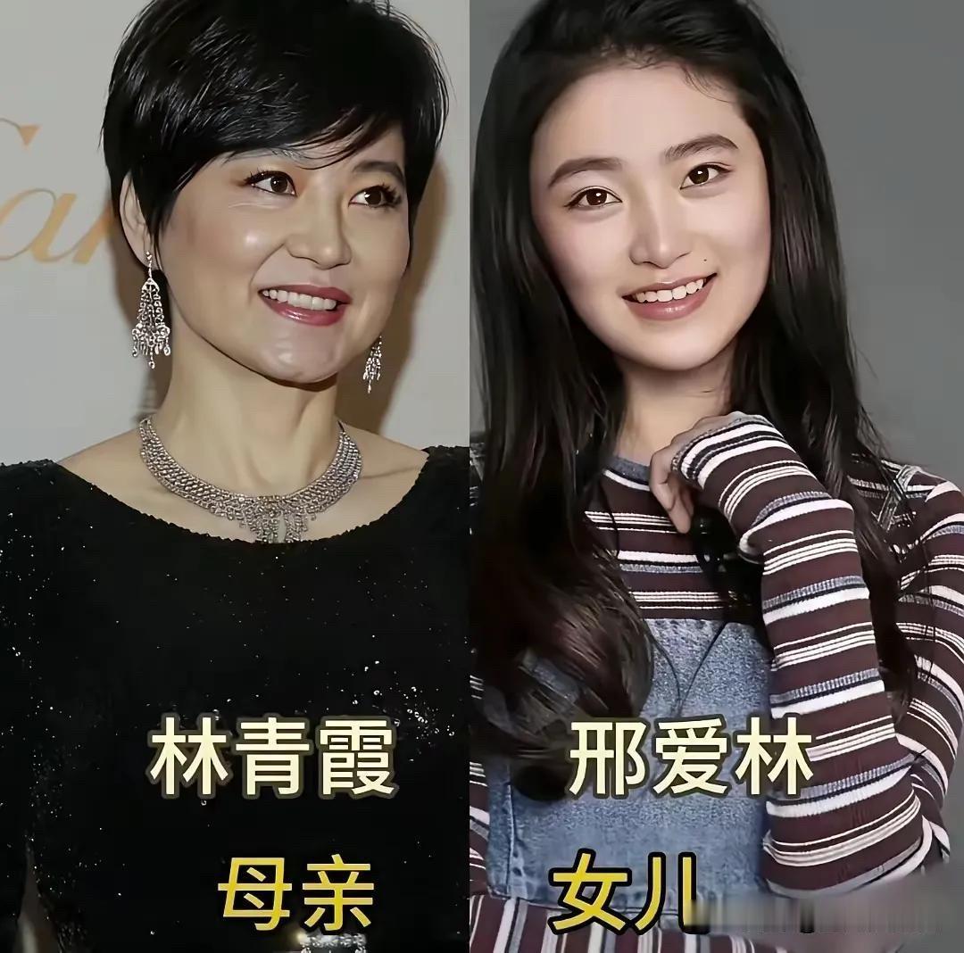 9位明星妈妈和女儿的合影：林青霞的女儿像她，金龟子的女儿跟她一模一样。

有的女