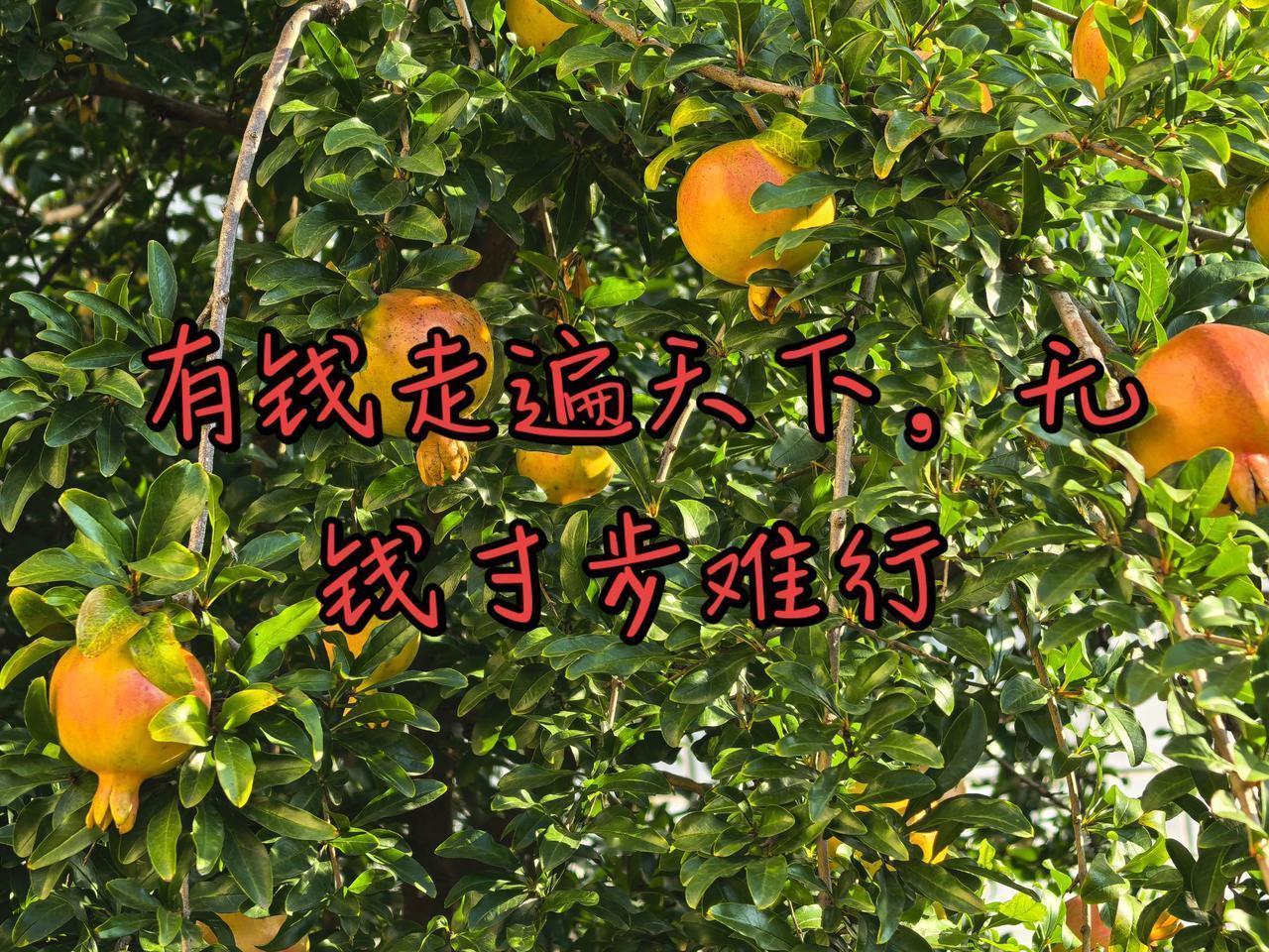 有钱走遍天下，无钱寸步难行