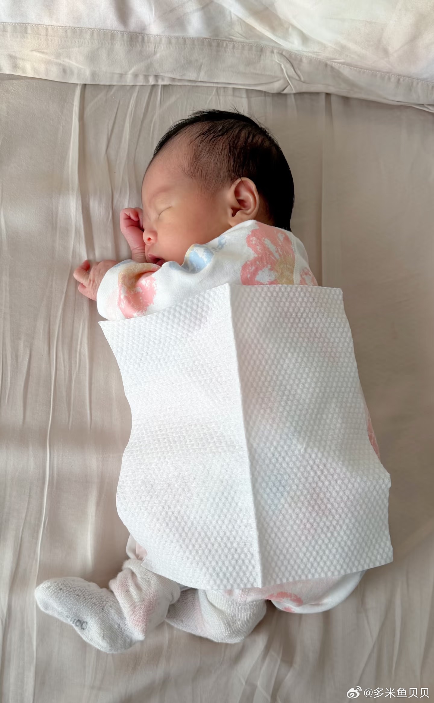 5日龄人类幼崽 只有棉柔巾这么大原来5.4斤的小宝宝真的只有这么一点点小小的一只