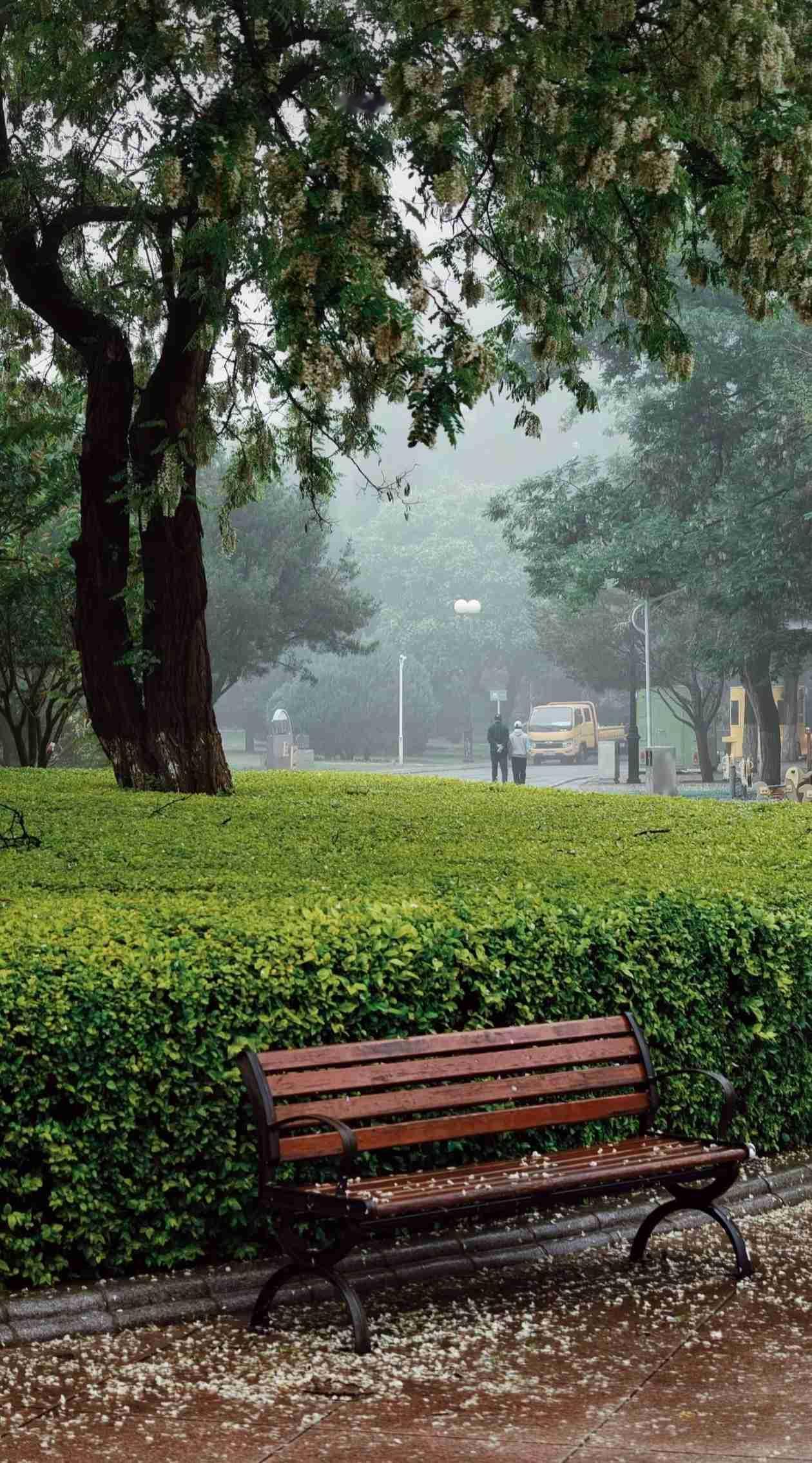 我的今日状态：😁轻松愉快
我这里的天气：🌧下雨

🧸|🅖☻☻🅓 ’͜‘