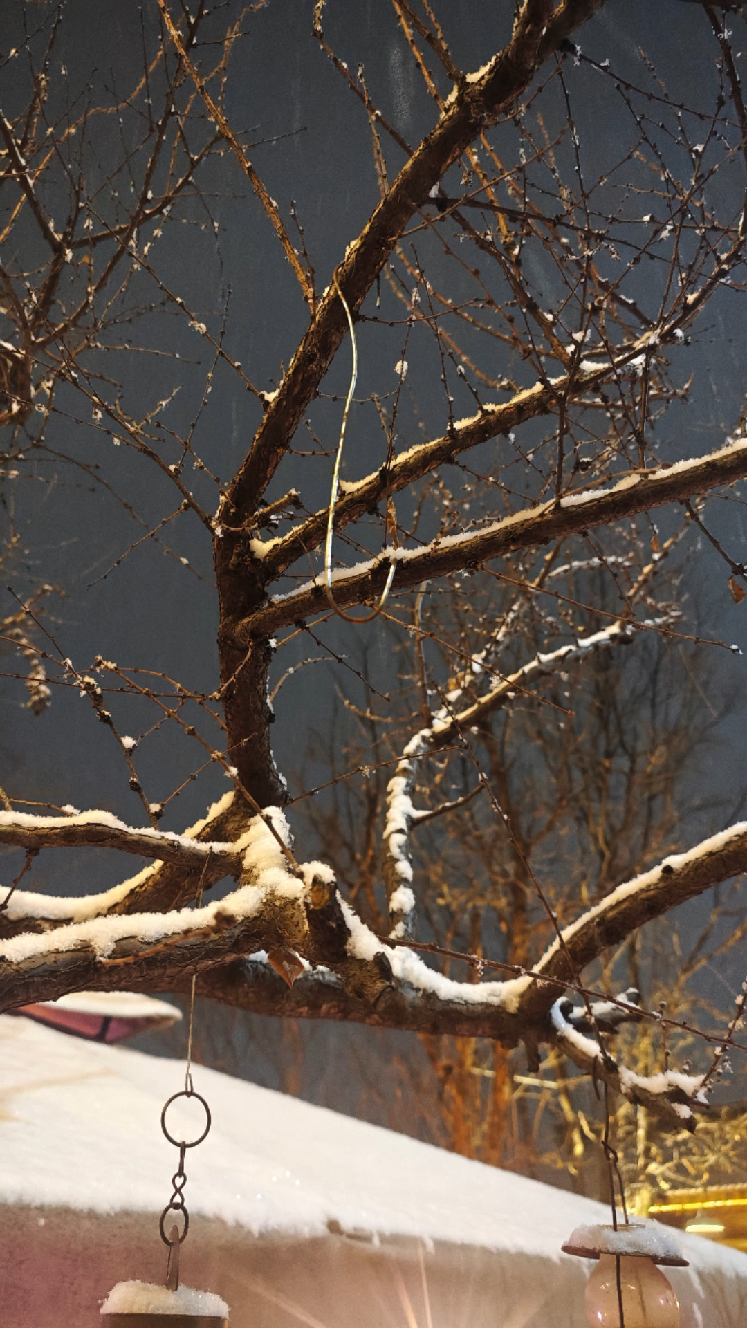 #张颂文镜头下的北京初雪#张颂文镜头下的北京初雪，是大自然的馈赠，也是时间的印记
