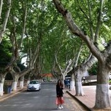 暖心风爱看健康