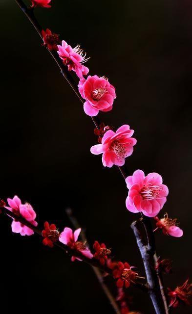 周六，又一波行业重磅利好接踵而至，这些板块有望顺势而起，站上风口！
本周六，又一