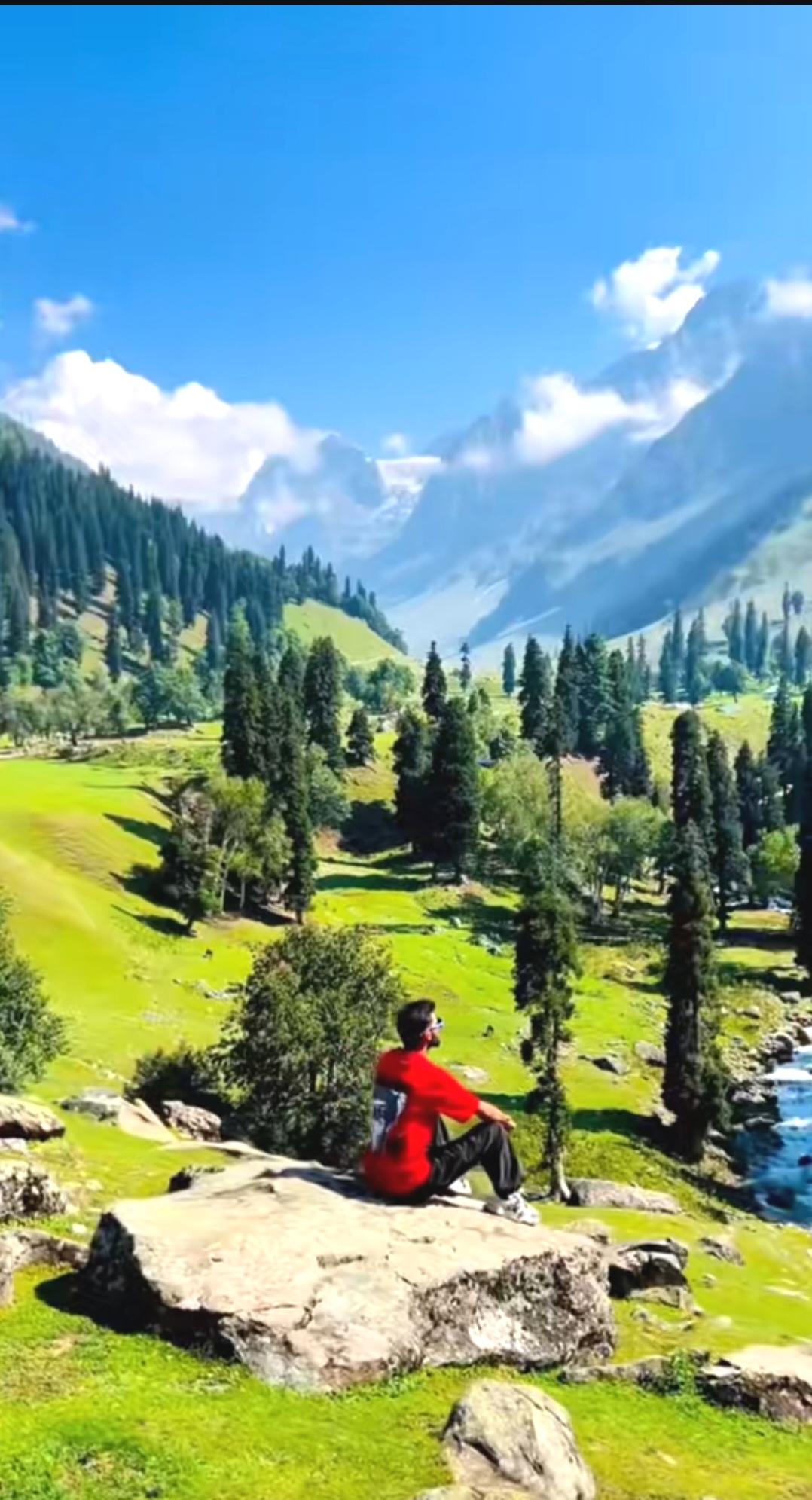 人怎么样才会有安全感？
安全感可不是别人给的庇护，得自己给自己搭建避风港。
有人