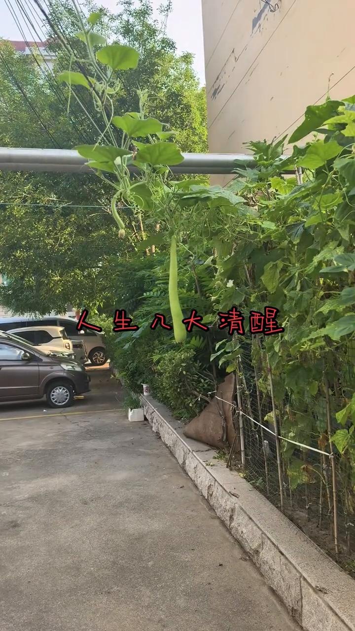 人生八大清醒。
·一、陪父母走完最后一程是偿还养育之恩。
·二、把孩子养大成人是