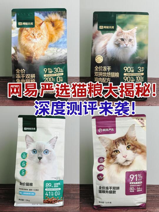 网易严选猫粮大揭秘！深度测评来袭