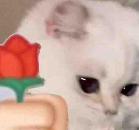 1500岁的阳朔古榕，宛如一片树林。它扎根凤楼村，树冠如巨伞，面积约4个篮球场。