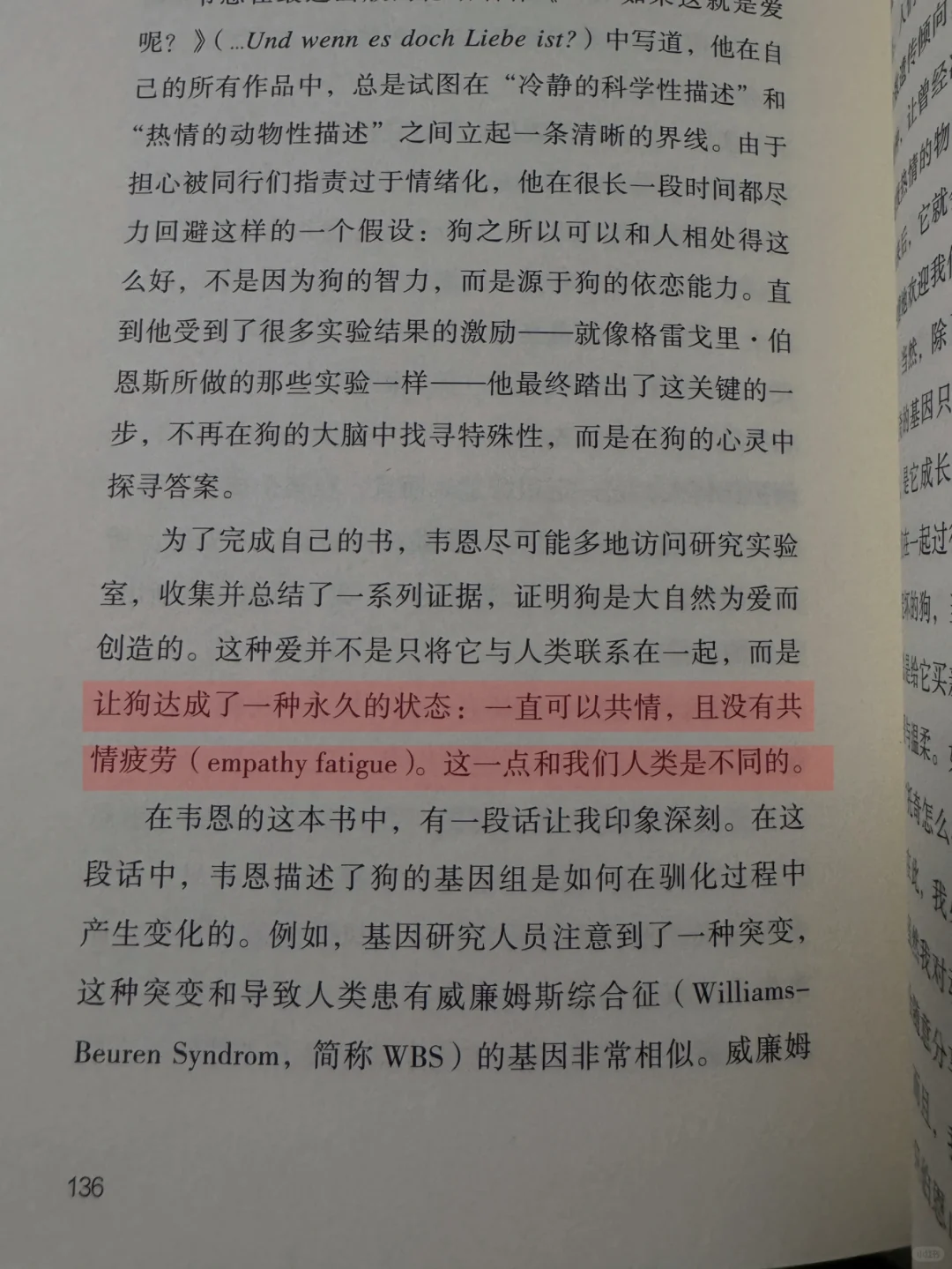 小狗对你没有七年之痒，小狗会一直爱你
