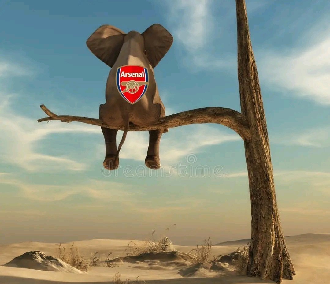 以前的阿森纳和现在的阿森纳。