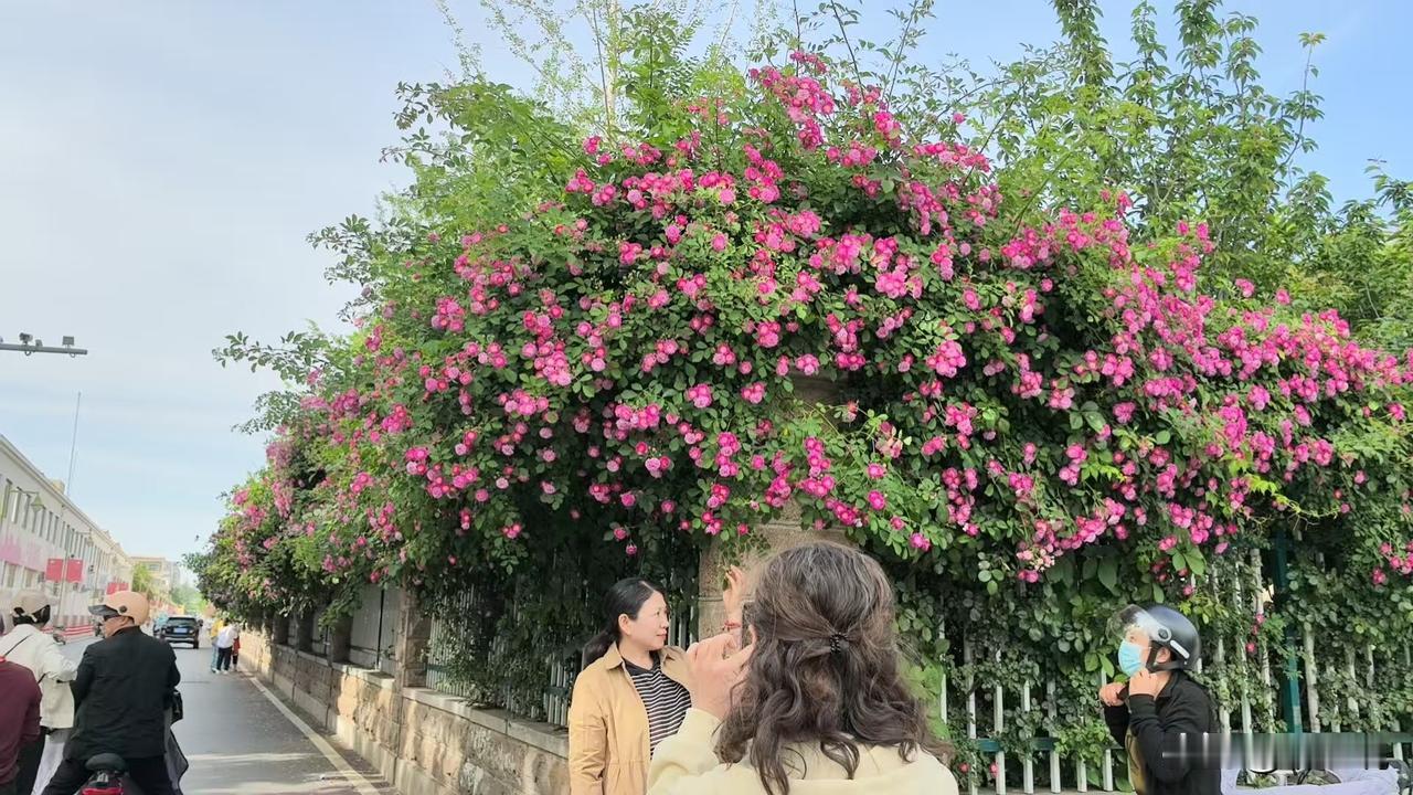 聊城还是很不错的，欢迎你到聊城来。聊城游玩打卡地 聊城湖边风景 聊城现状 聊城自