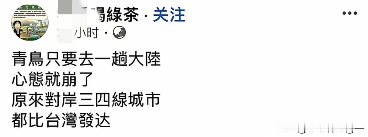 这几天刷到一位台湾“青鸟”的自白，看得人既心疼又解气。他曾是民进党最忠实的拥趸，