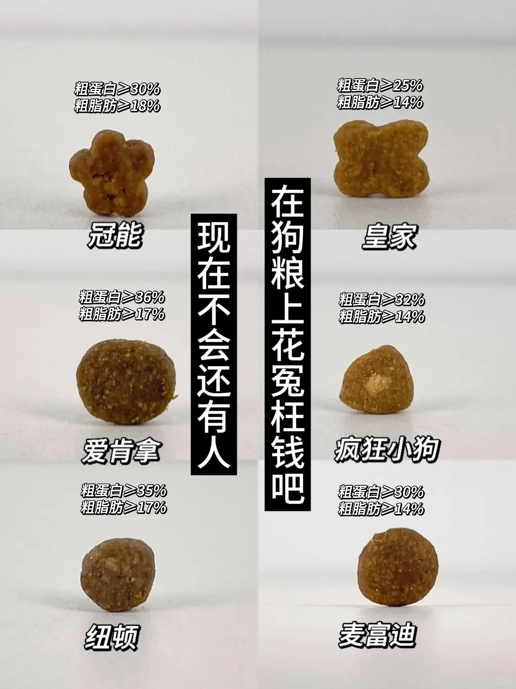 铲屎官必看👉6款不踩雷狗粮纯分享