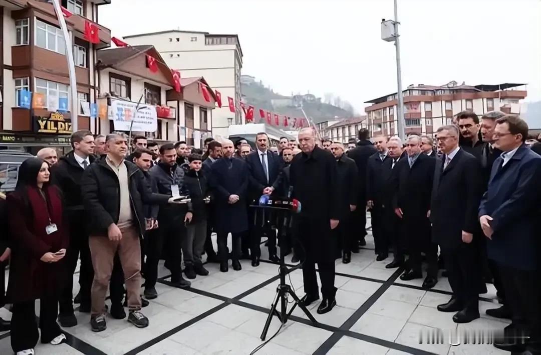 埃尔多安为什么要说荡平以色列，解放巴勒斯坦呢？
其实这句话是各国媒体的添油加醋。