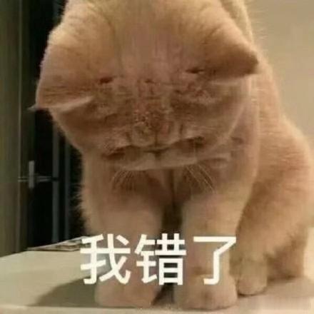 事到如今，坦诚说一句：对不起大家。这一段时间的震荡，投资人十分痛苦，甚至抑郁焦虑