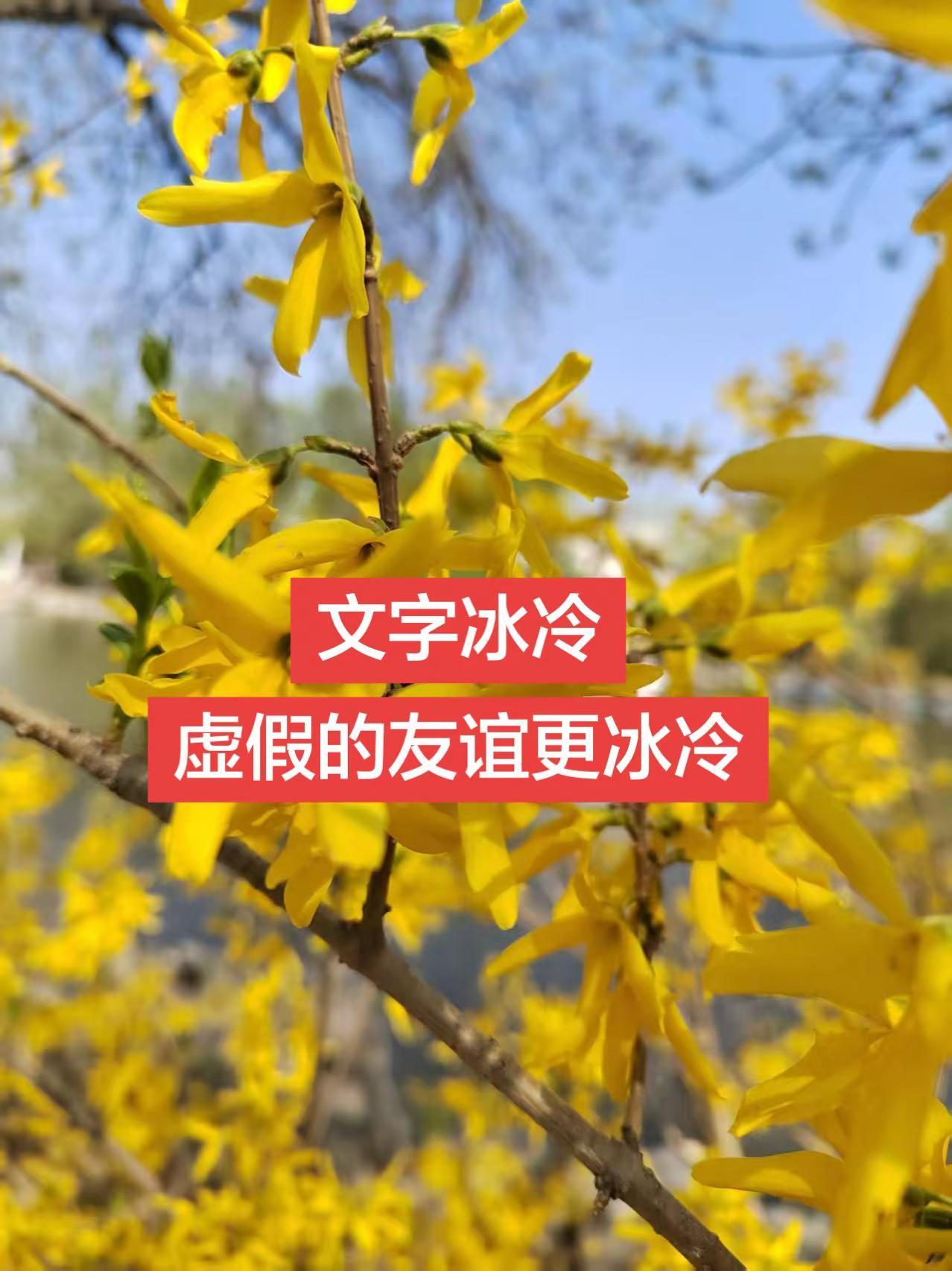 虚情假意的友谊。