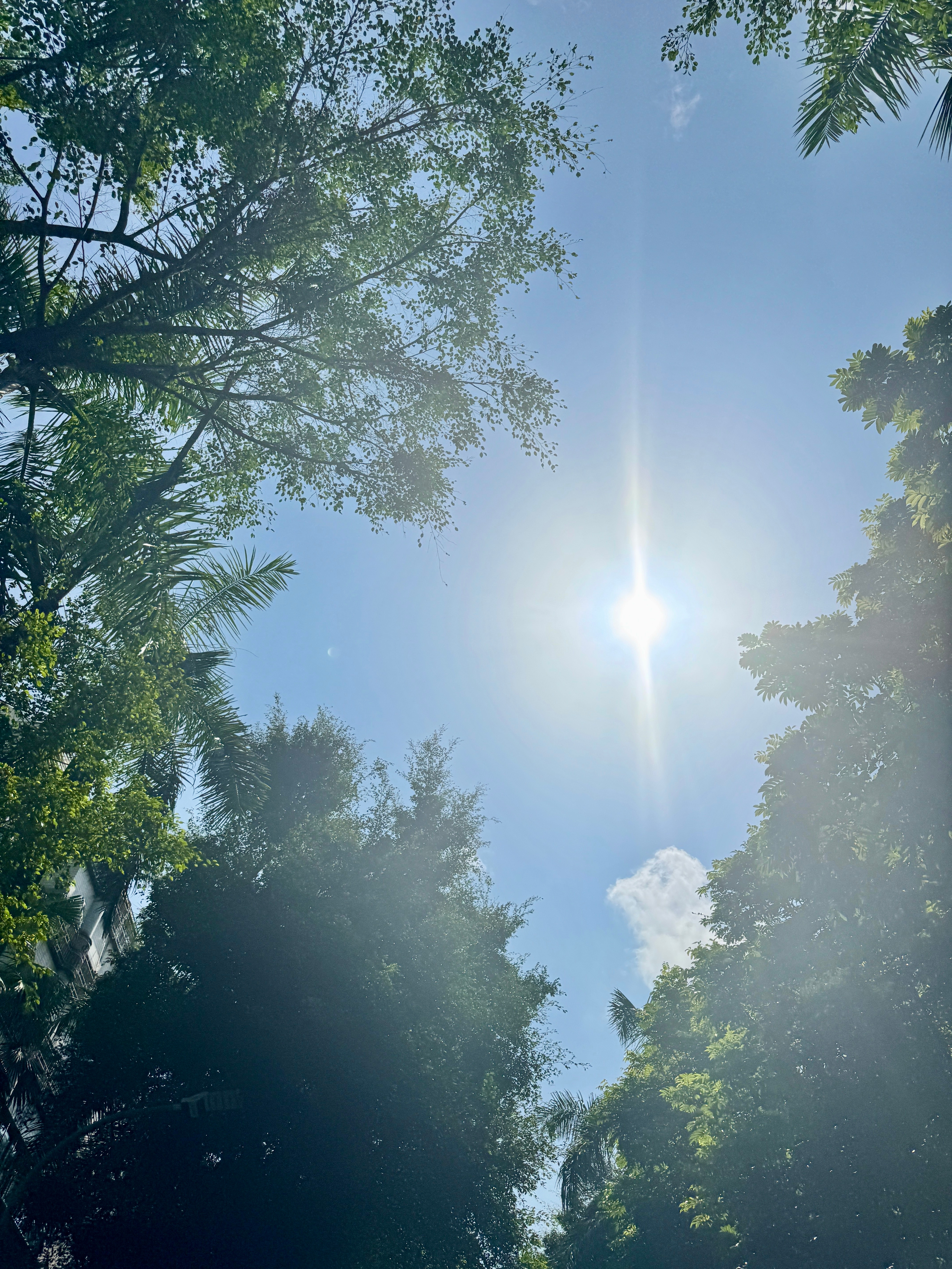 感觉自从六月底从马代回来后就没有见过什么太阳🌞都不记得到底下了多久的雨了，反正