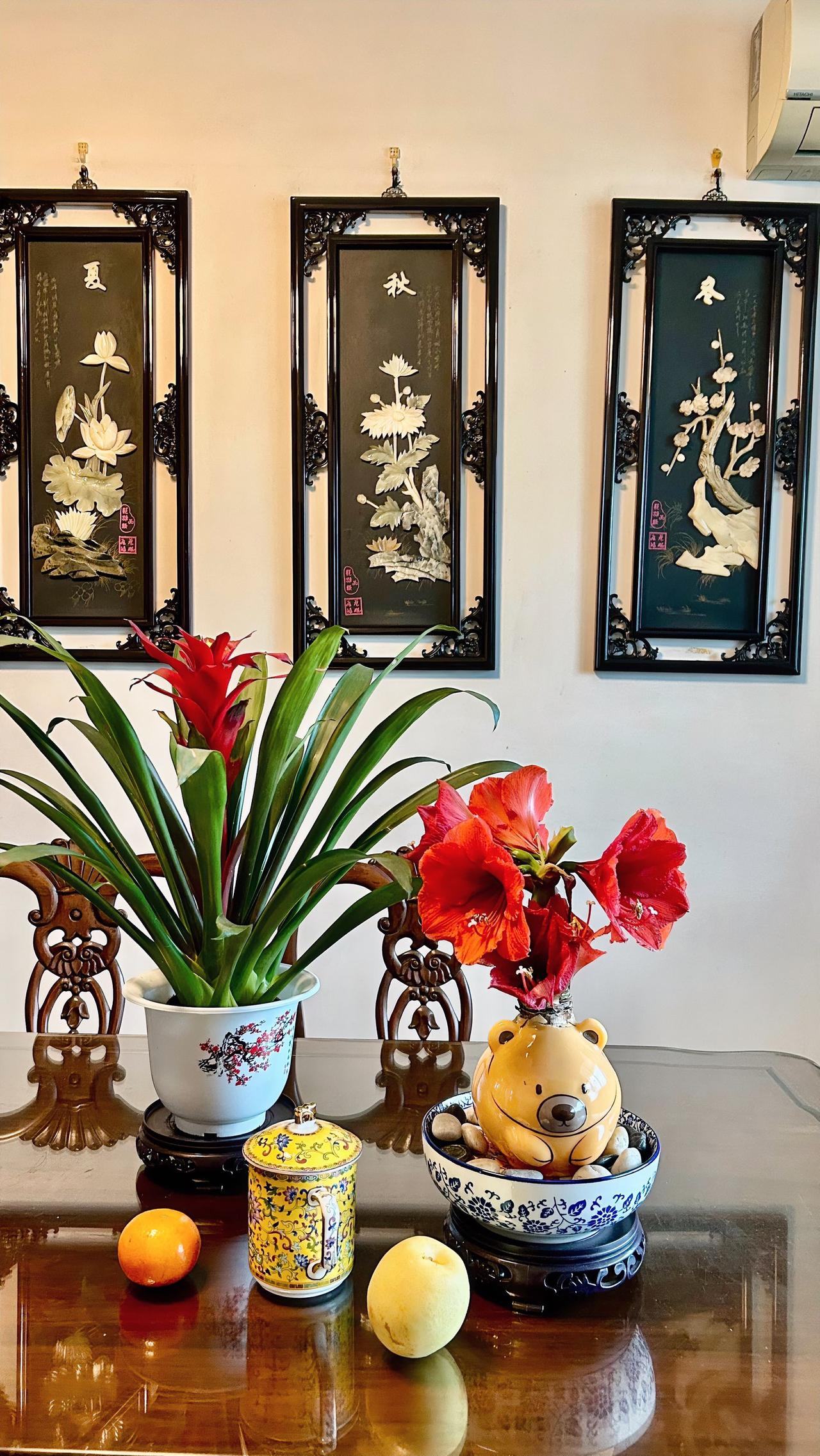 晒晒你相册里花开的图片儿吧寒舍摆放的这两盆花，一盆是凤梨，俗称鸿运当头，在春节前