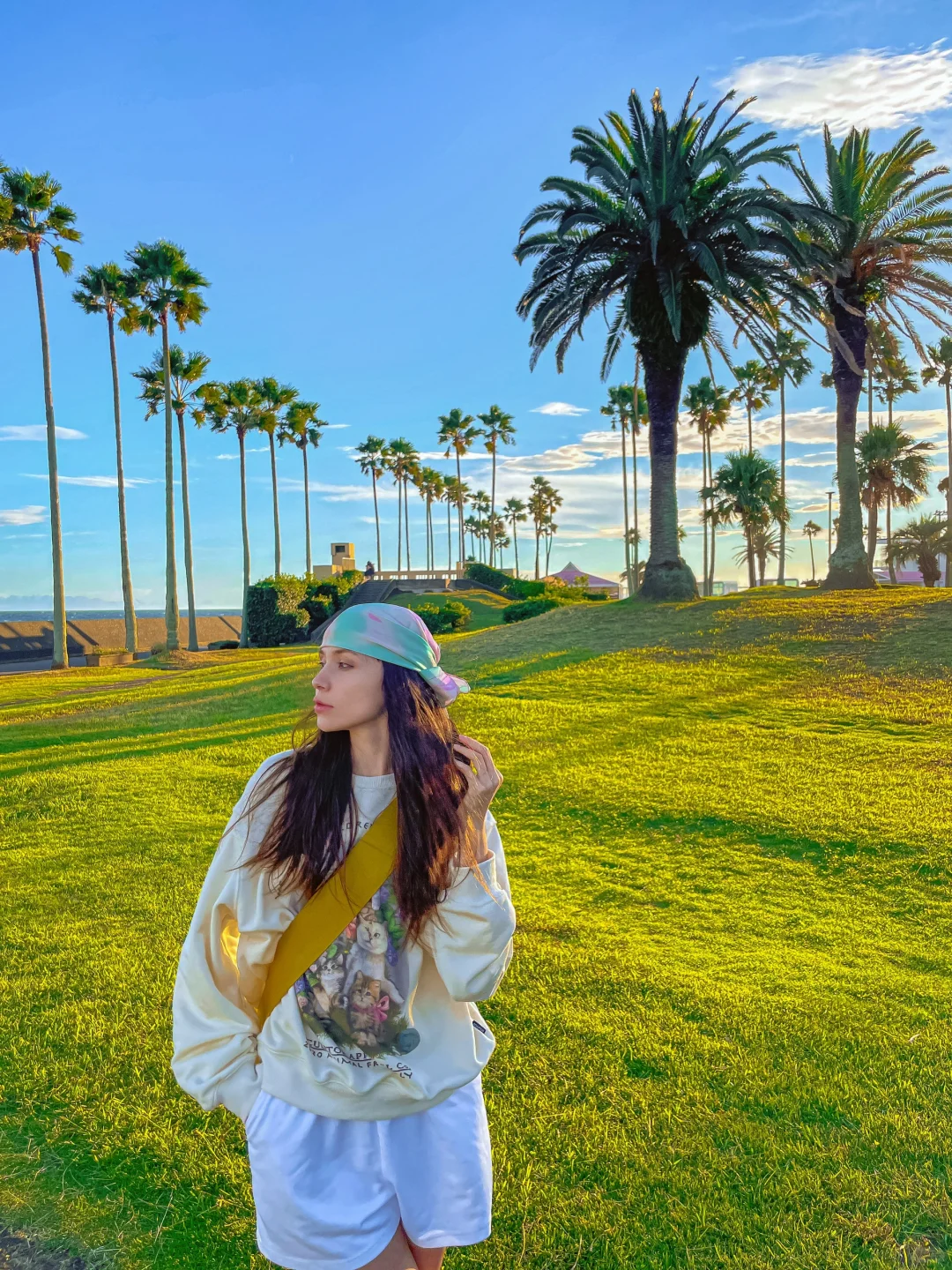🌊 🏝️