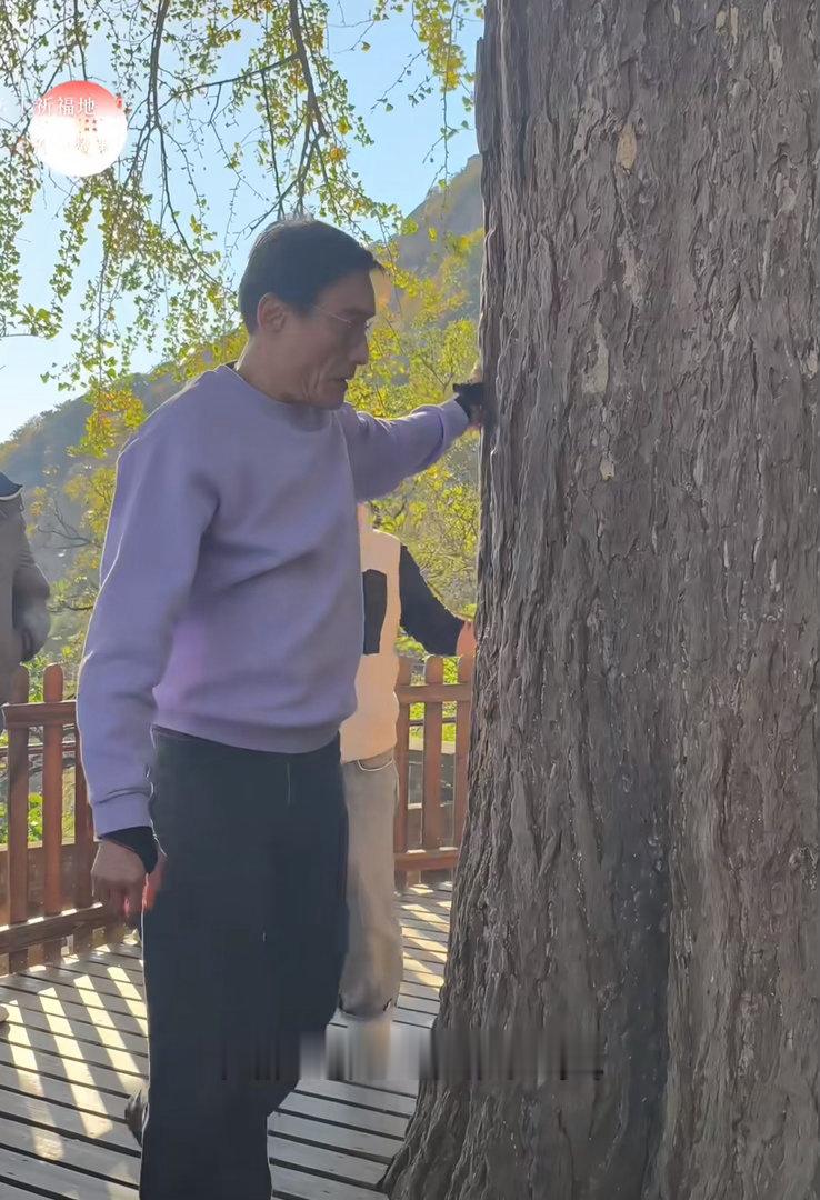 真正有福气的地方， 是会被人反复奔赴的。 东港大孤山就是这样： 明星来 了， 普