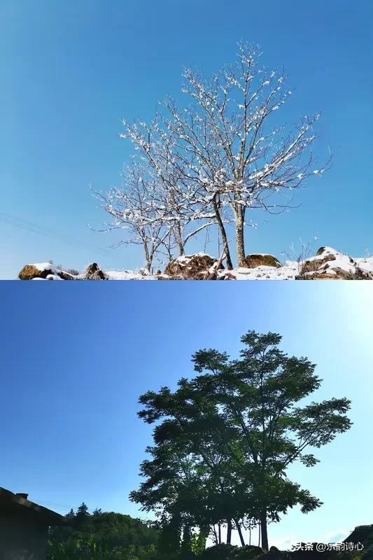 《春夏秋冬》乐韵诗心原创诗词:
春有桃李报春开，
夏有荷花含羞来。
秋有菊花秋霜