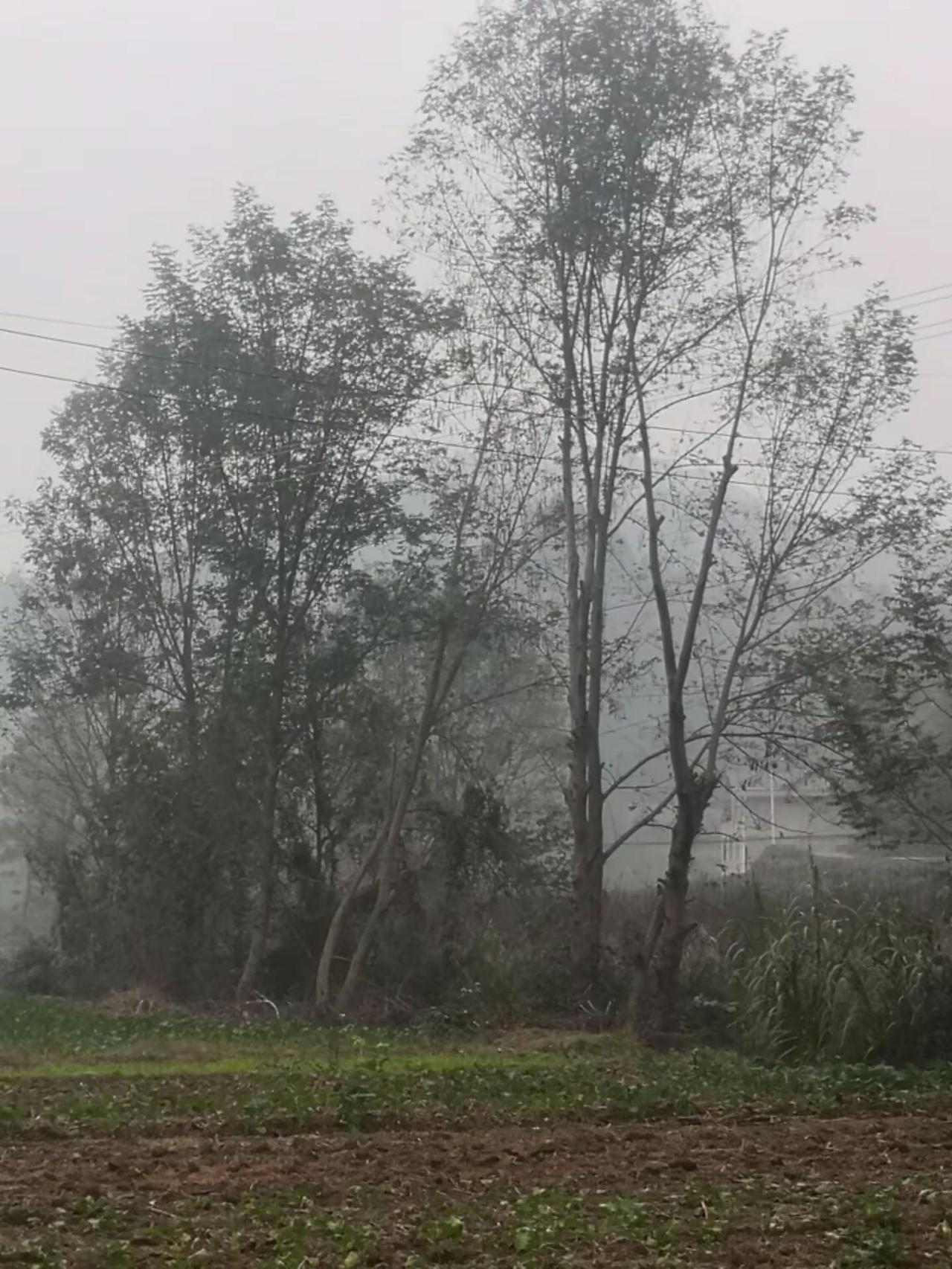 美丽的德阳农村，景色很美，这是好的风景自然风景区 农村人的生活 大自然风光 大自