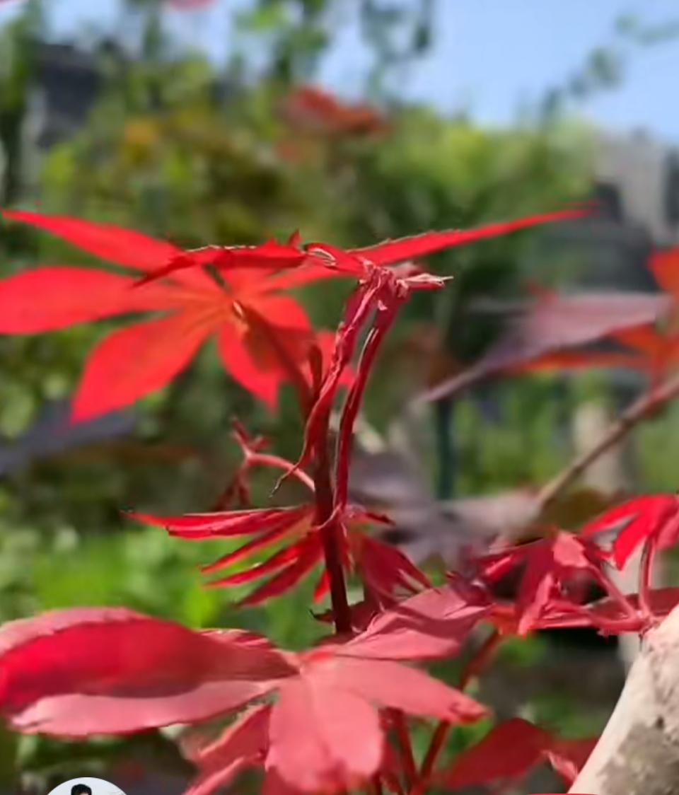 2026年房地产态势最新预测来了！

大家都很关心，经历了四年低迷的房地产市场，