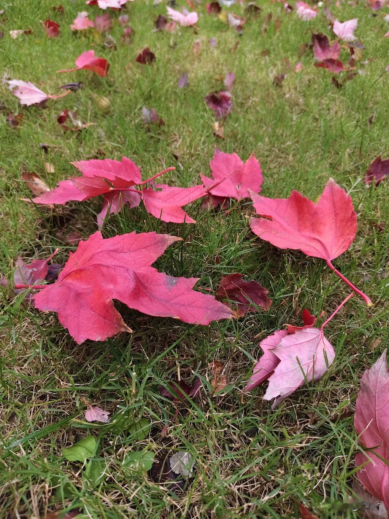 现在只要有钱！

就一定会有爱。

梁山伯与祝英台的悲剧就不会再次重演。

以前