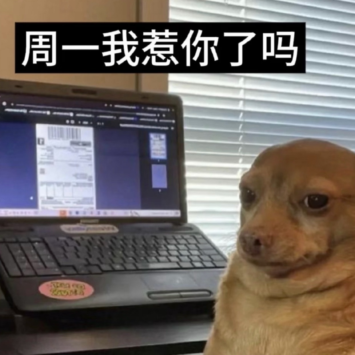 终于等到周一看职场大戏了，今天我将集中注意力观察隔壁组