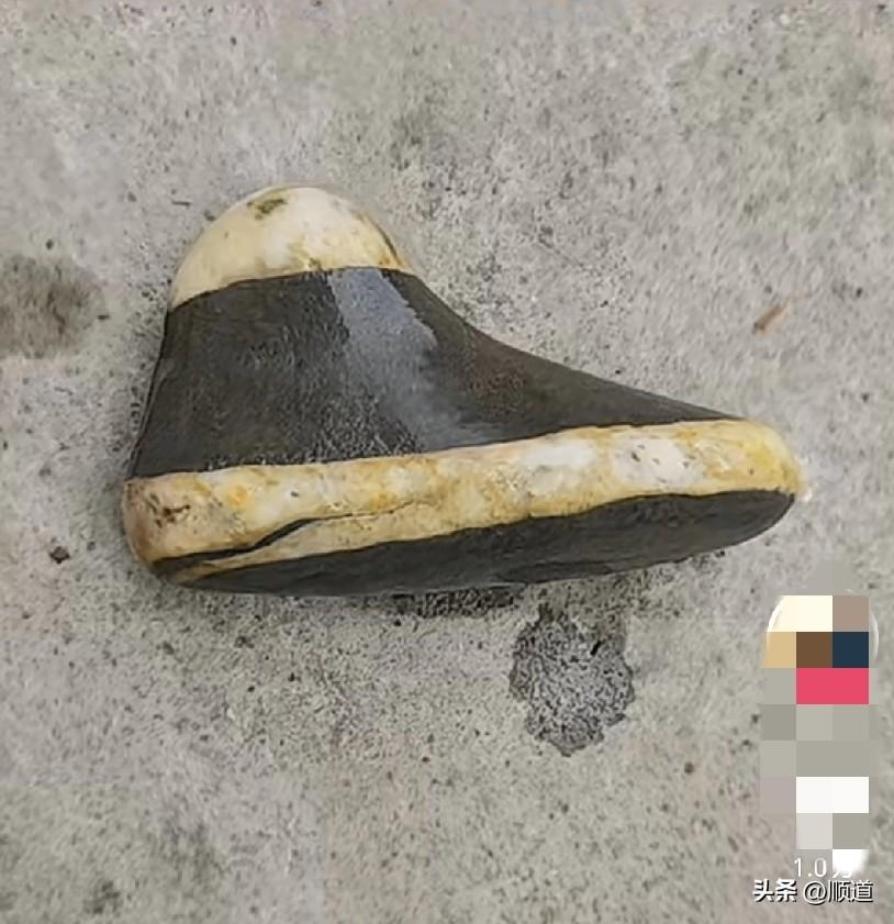 女子户外捡到奇石，酷似一只鞋子。
这说明女子非常细心。
我老爸生前也爱捡各种奇异