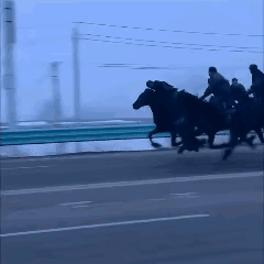 这是准备要征讨哪个地方