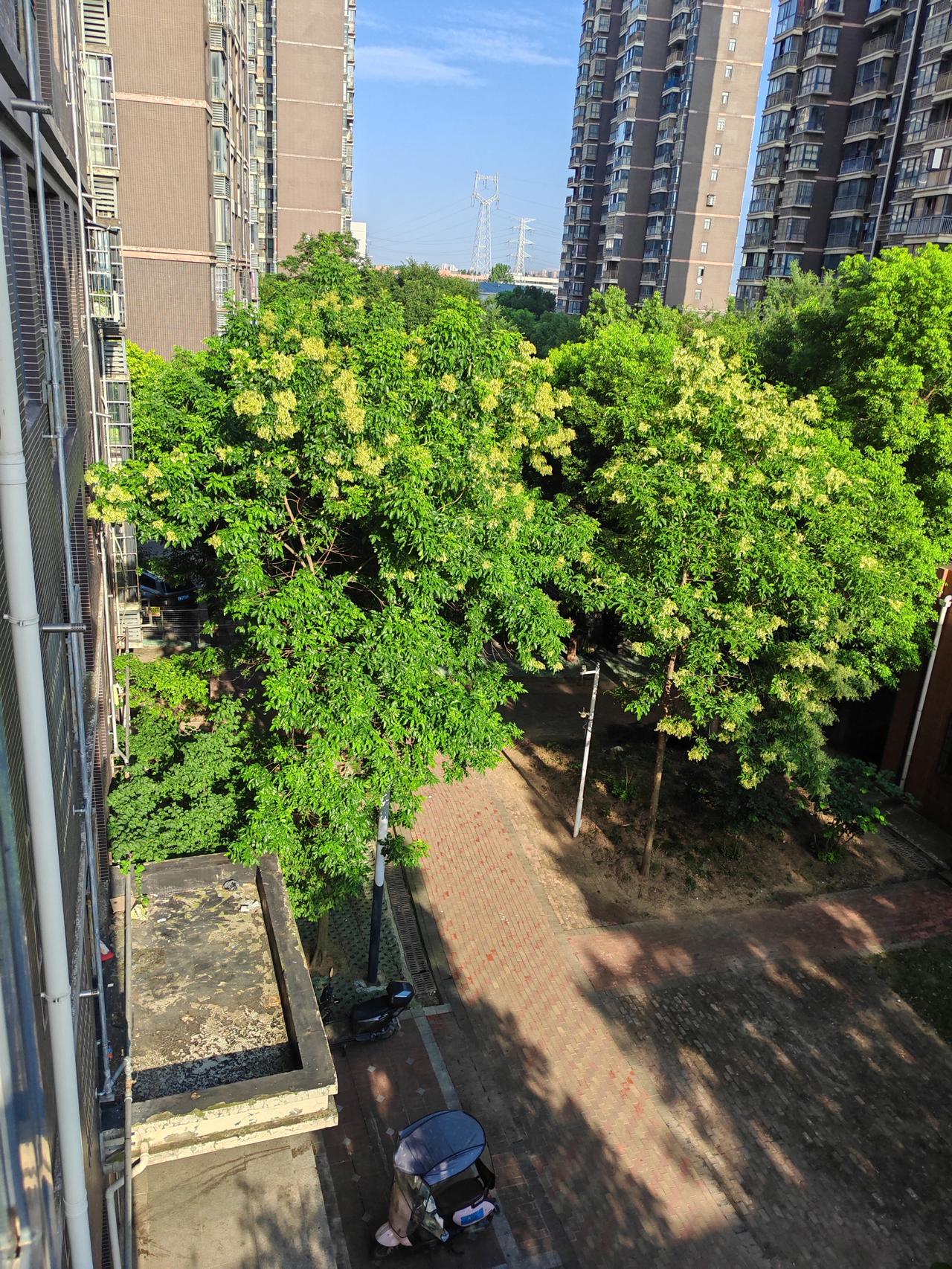 7月13日，武汉晴天多云转阴有小雨，高温黄色预警，大风蓝色预警，最高气温34度，