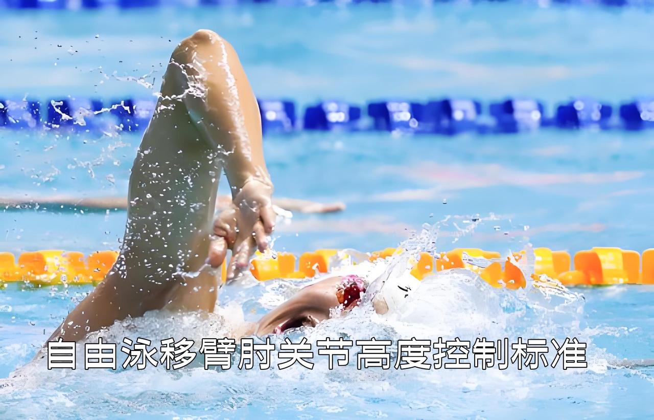 泳教头｜泳讲堂：自由泳移臂肘关节高度控制标准

自由泳移臂好不好，看肘不看手。