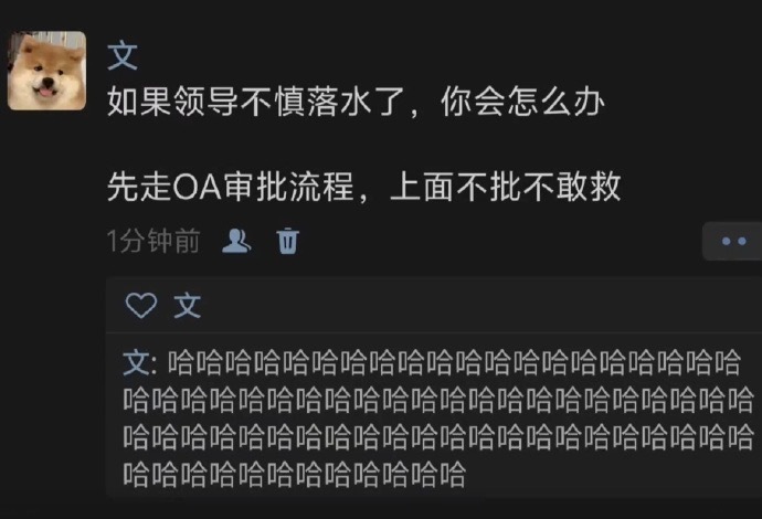一切都得按公司流程办事哈哈哈哈哈 ​​​