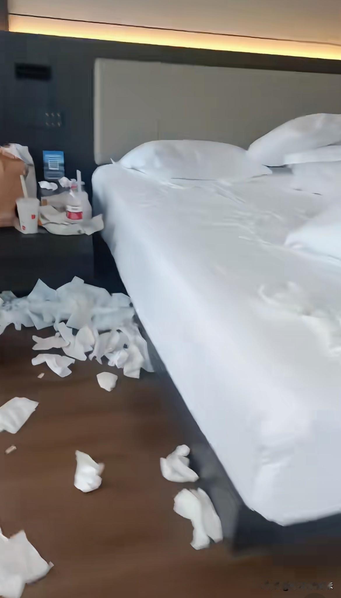 保洁阿姨发给我几张照片，她说开会就不来了，早起退房的客人把房间弄的太乱，打扫的时