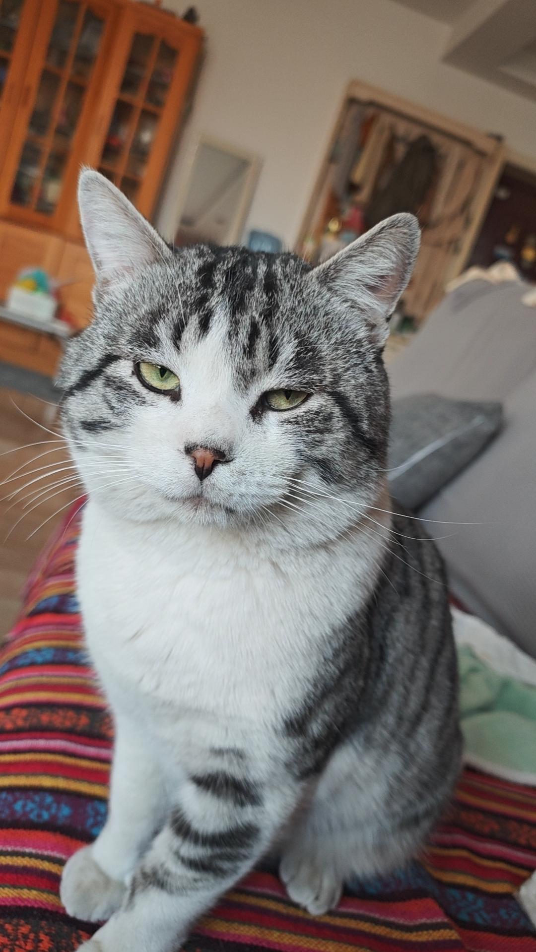 最近又胖了，看我愁得不行，老公说这样吧，你定个减肥计划，掉1kg我给你奖励100