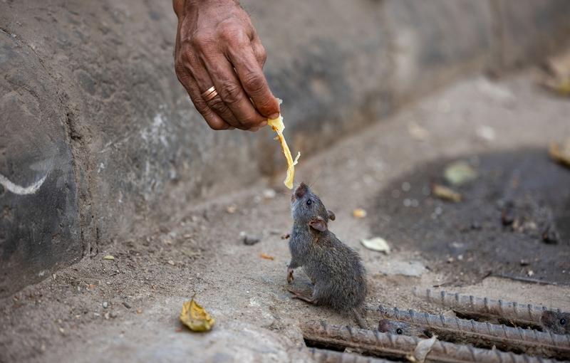 善良没让我一夜暴富，却给了我很多无形财富。
有次下雨天，我帮没带伞的邻居收了衣服