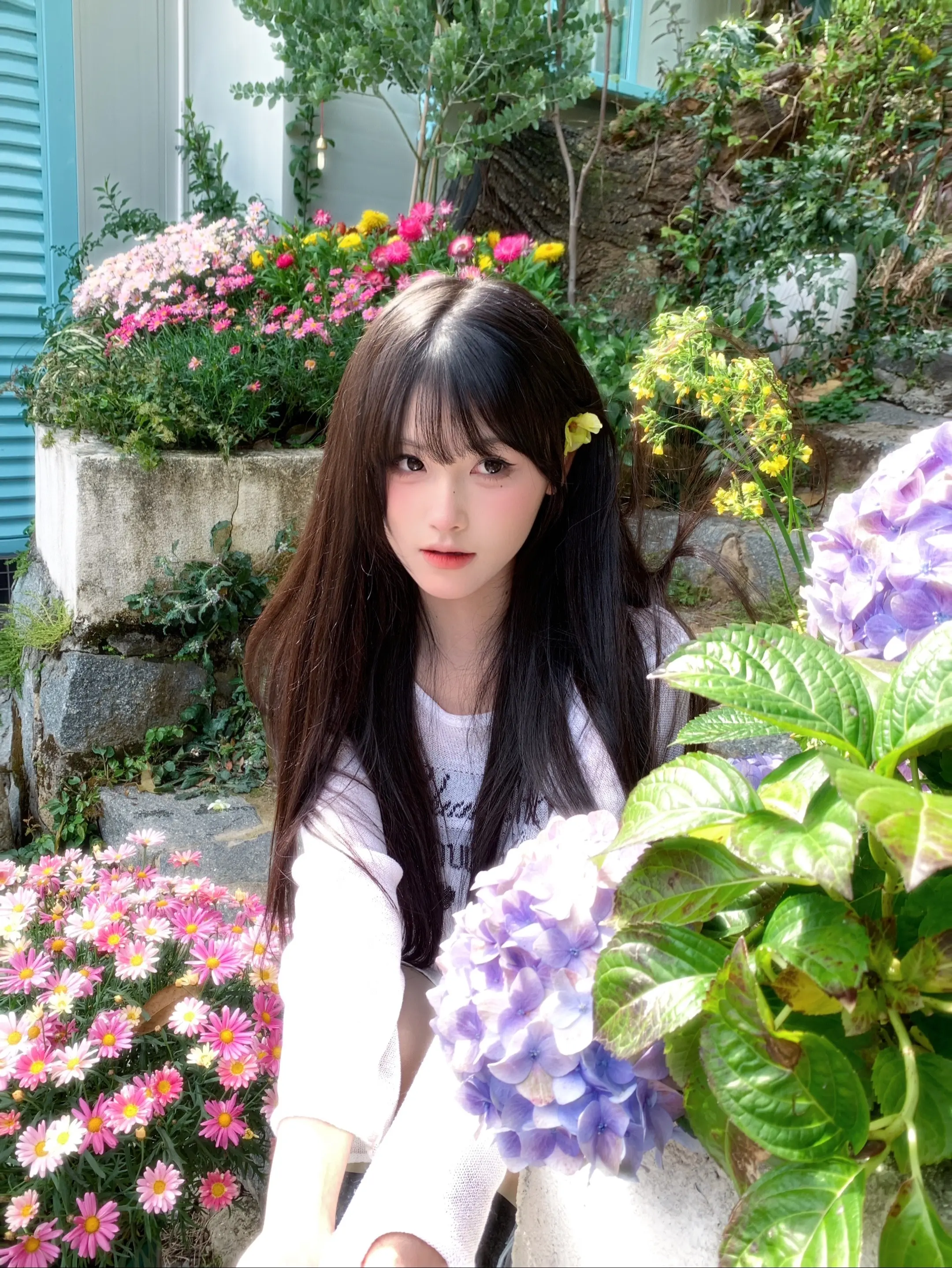 春日。