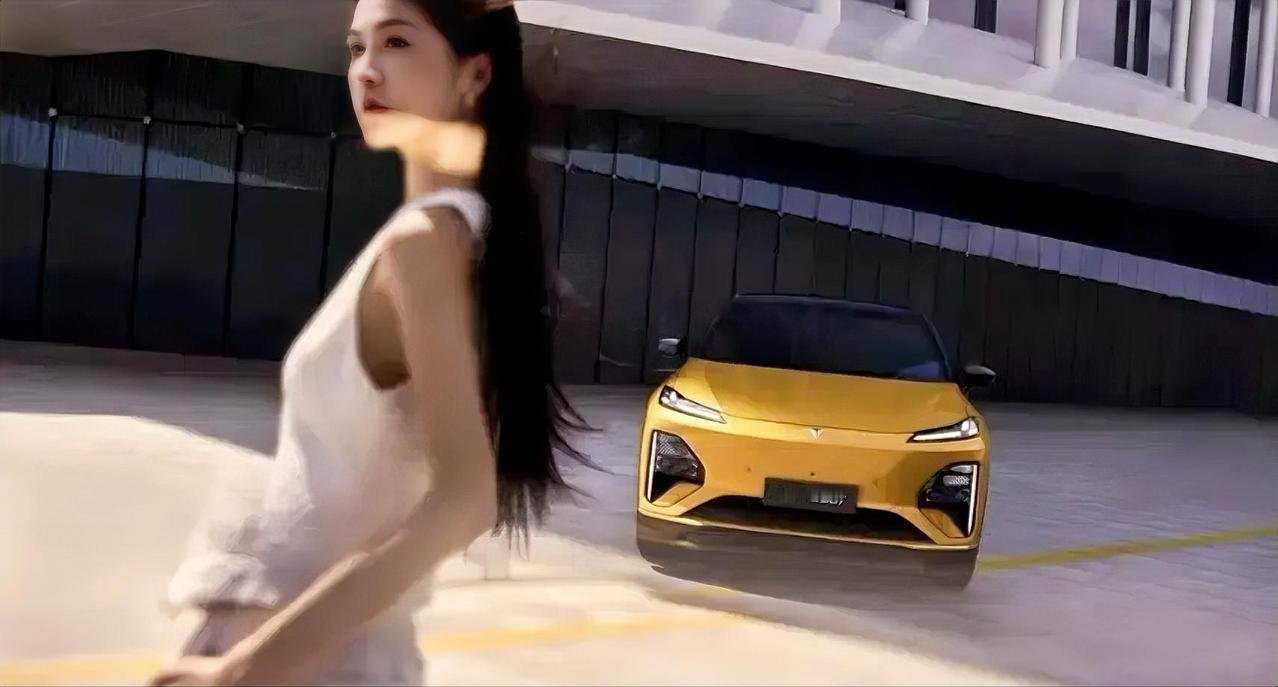 这就是赤裸裸的现实，家庭购车以经济实用为主，这是大部分家庭购车趋势
   1： 