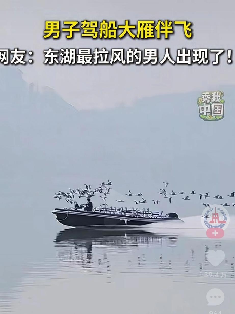 一群大雁往男飞！就问你酷不酷？