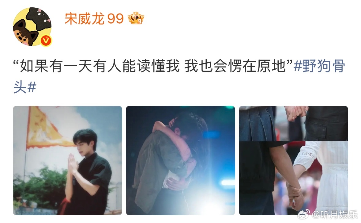 宋威龙文案 宋威龙这个文案和配图真的绝了！都去给我看《野狗骨头》