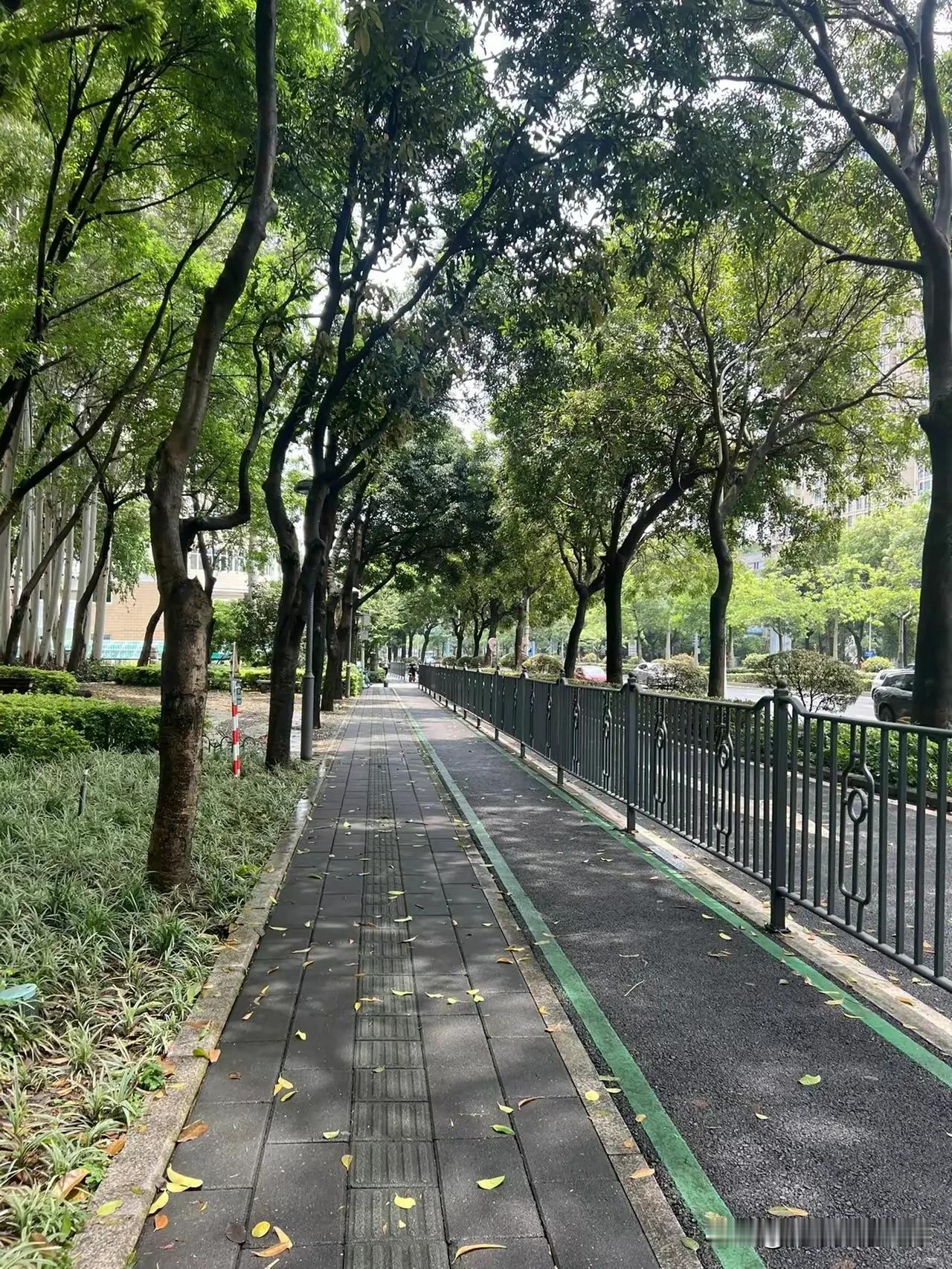 同是过路同做过梦 本应是一对
人在少年梦中不觉 醒后要归去
三餐一宿也共一双 到