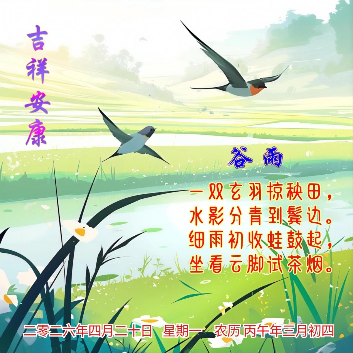 《谷雨》
一双玄羽掠秧田，
水影分青到鬓边。
细雨初收蛙鼓起，
坐看云脚试茶烟。