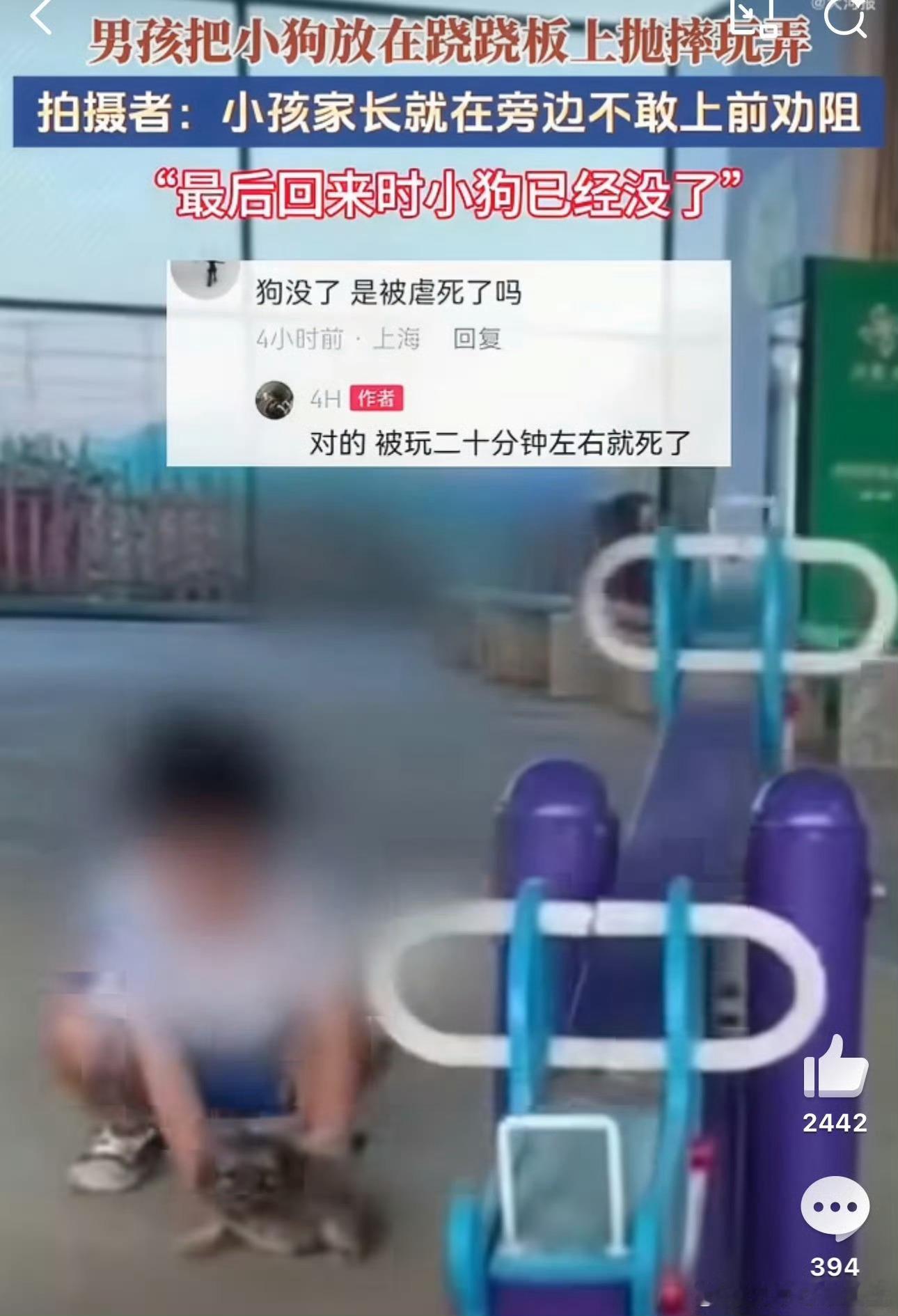 有些小朋友是天使，有些小朋友生来就是魔鬼，家长的态度更可怕。男童将小狗放跷跷板上