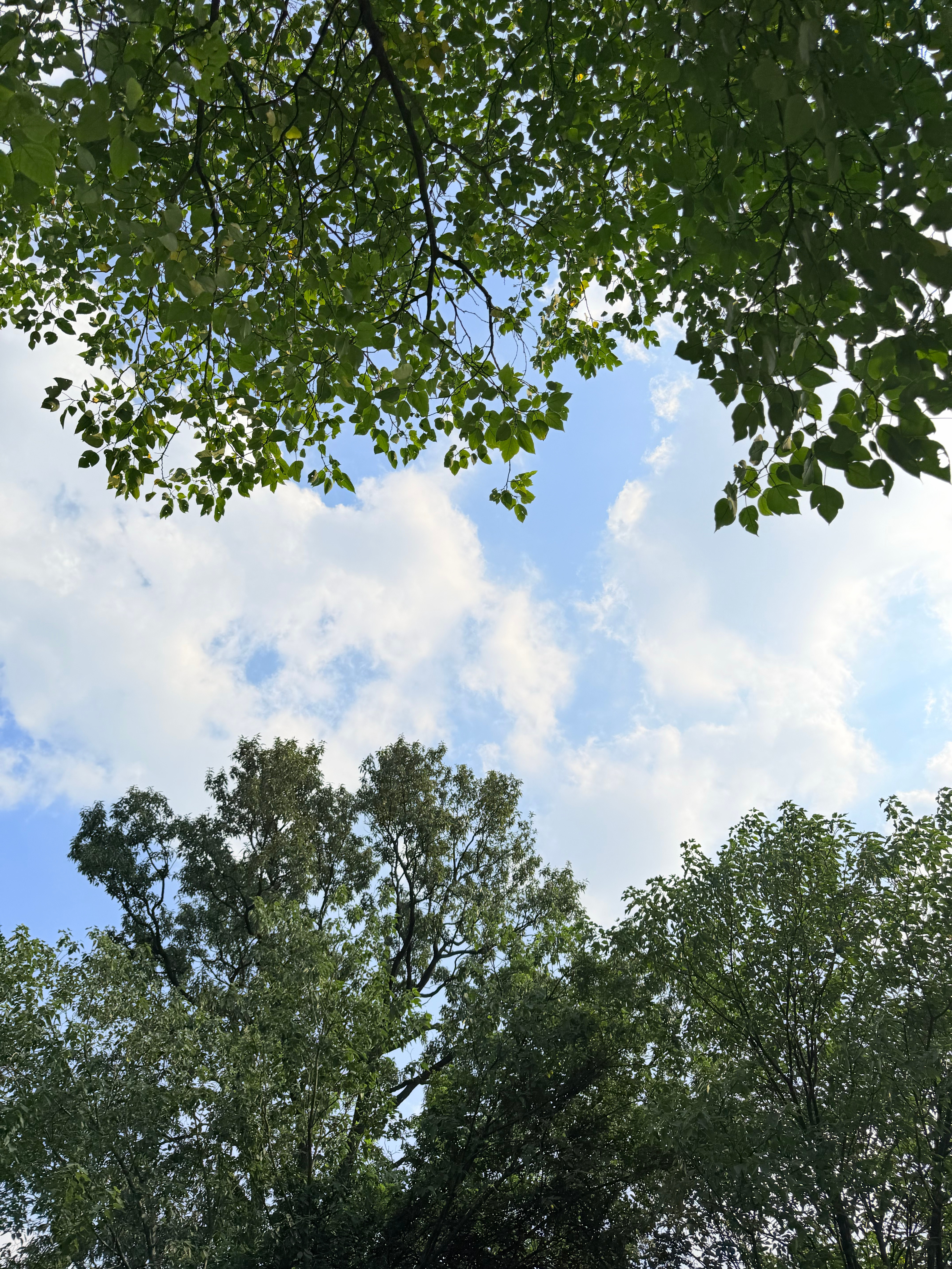 一般都是晚上跑步爬山今天周末下午就来了七公里一个半小时今天的任务完成晚上可以多吃
