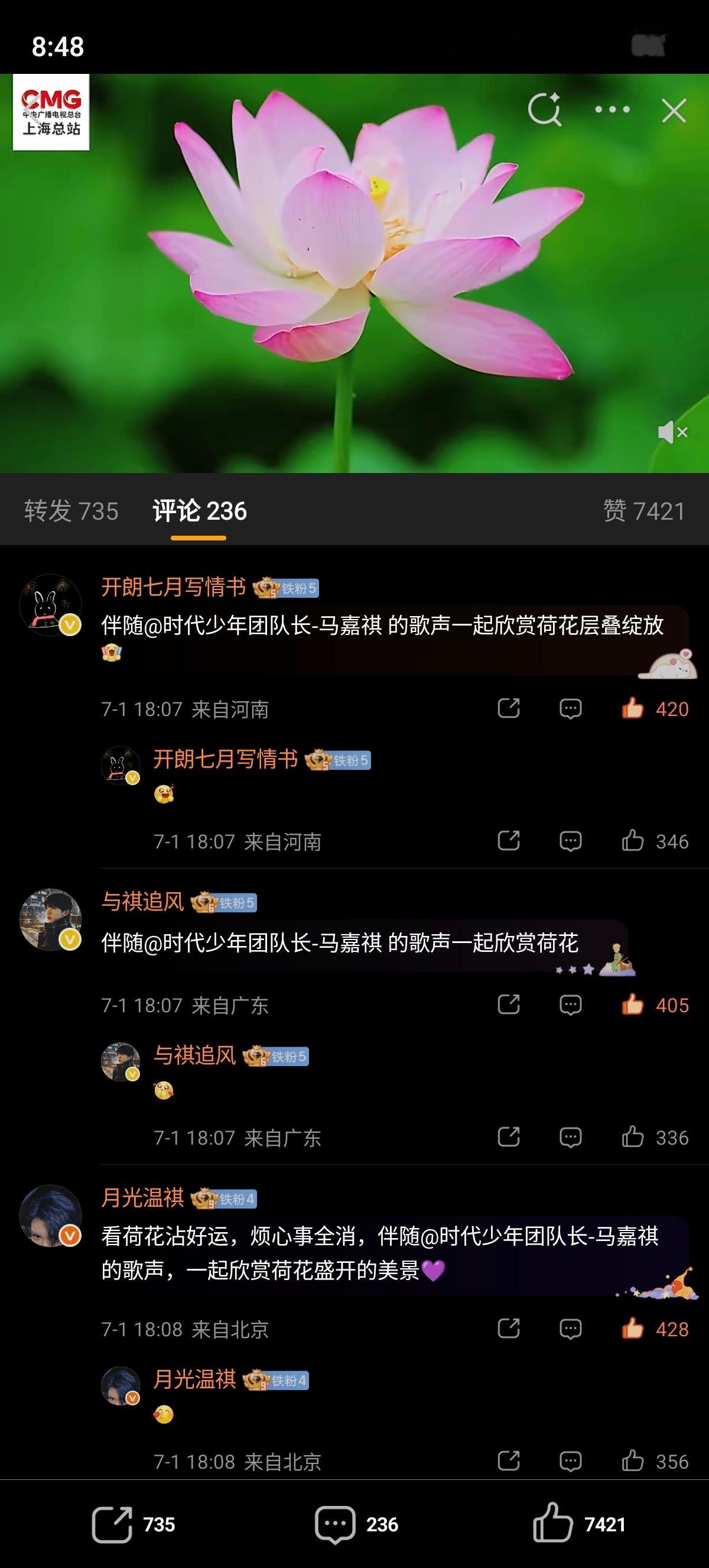 ✔️🈳网页链接  专栏 · 🈳评组