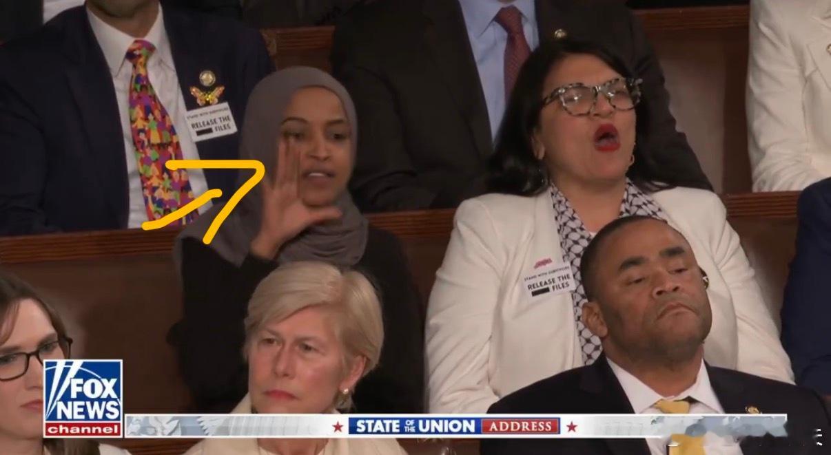 ‼️气急败坏：特朗普总统公开指责索马里人和非法移民后，伊尔汗·奥马尔彻底疯了，她