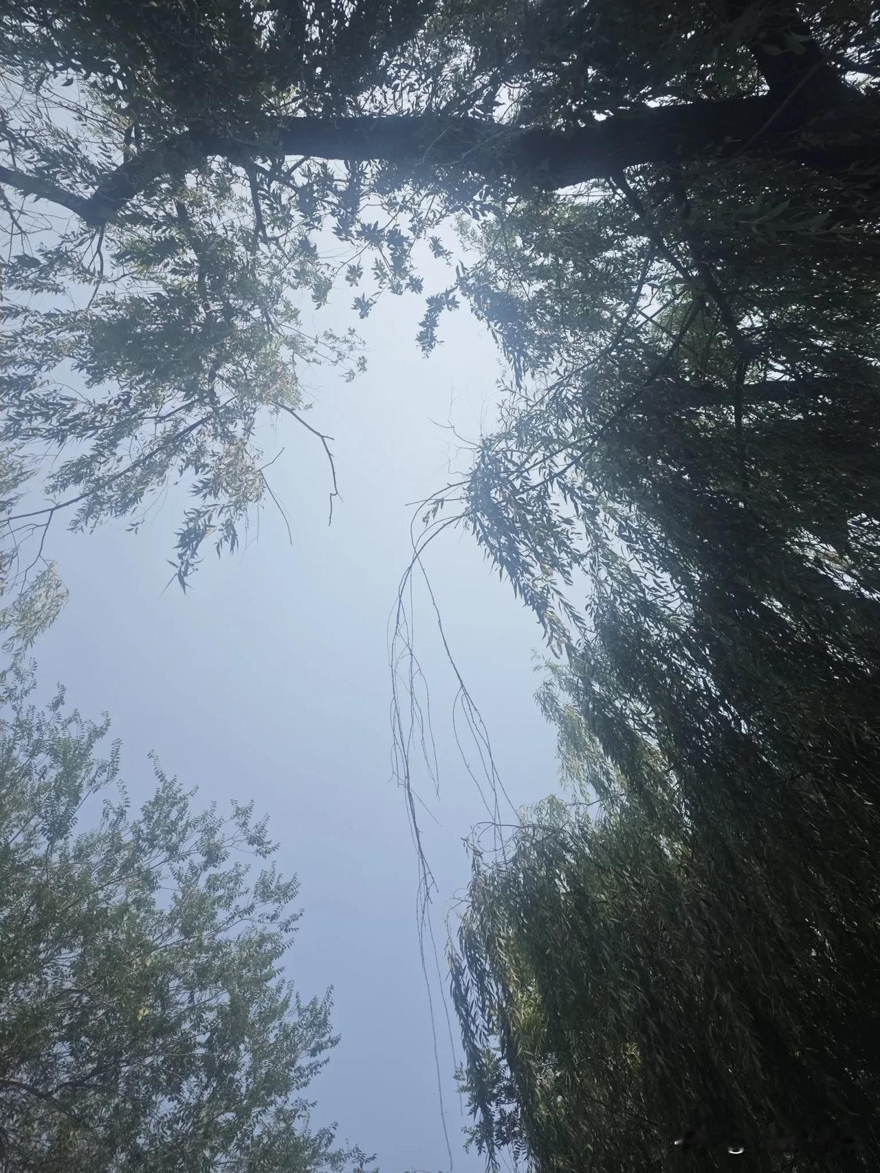 写头条为了什么？
你得说实话

大多数都为了钱
别说你只是为了娱乐消遣
如果你只