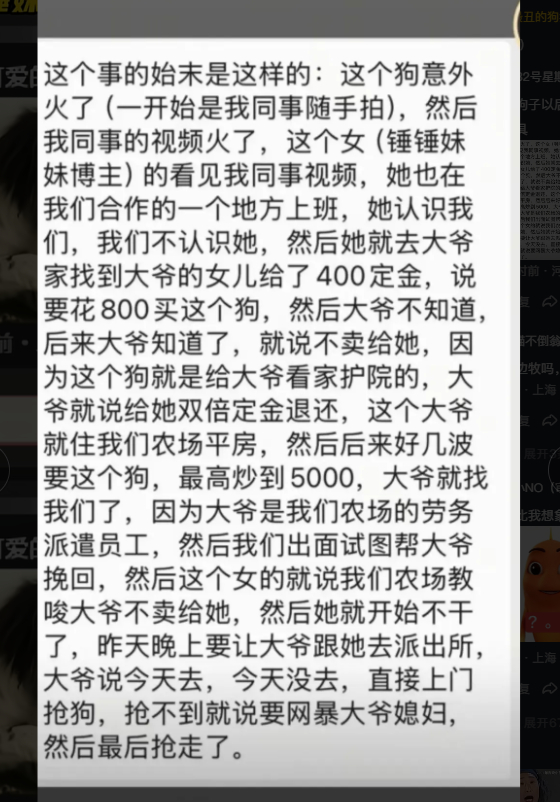 颜值垫底双马尾小狗2400元卖掉了 希望狗子以后能被善待它，不要只把它当谋利工具